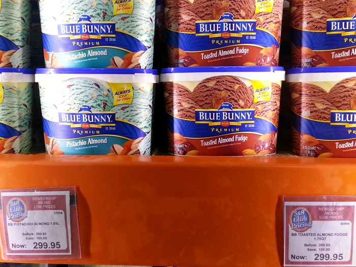 SnR Premium Blue Bunny Ice Cream Almond Fudge - Karen MNL