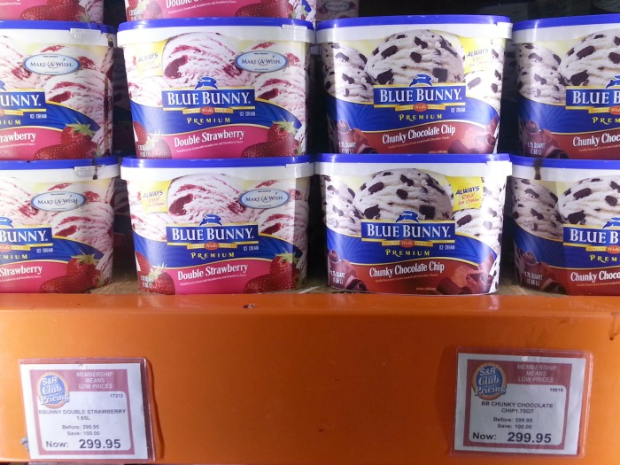 SnR Premium Blue Bunny Ice Cream - Karen MNL