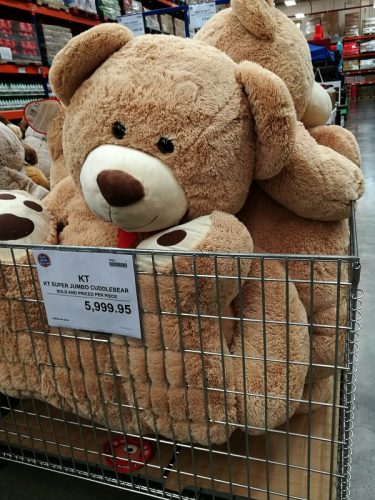 Giant Teddy Bear