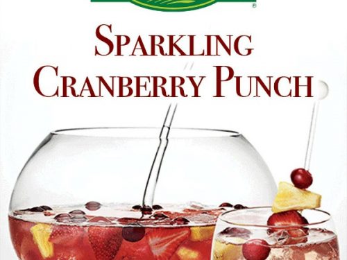 Easy Cranberry Mocktail Recipe from Old Orchard